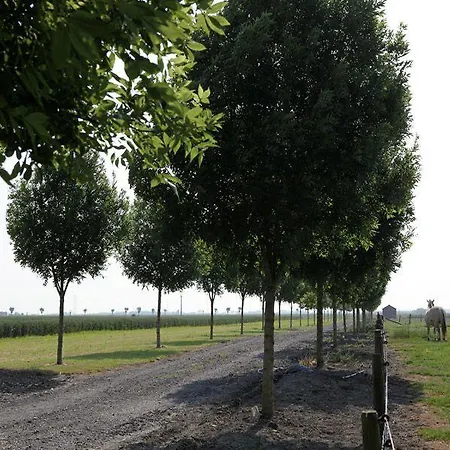 Vakantiehoeve De Torreele
