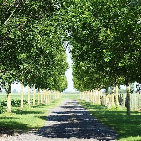 Vakantiehoeve De Torreele